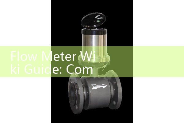 Flow Meter Wiki Guide: Comprehensive History, Technical Evolution, and Classification of Flow Sensors