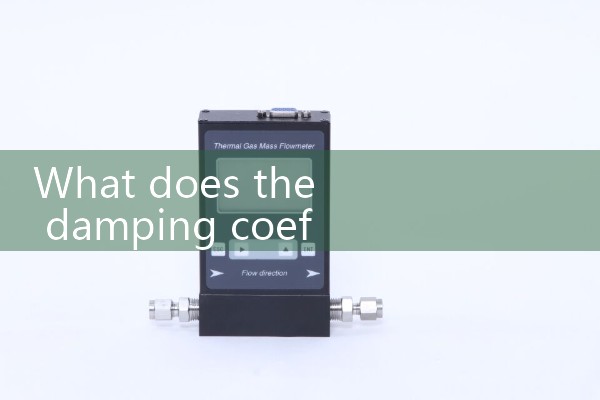 Flow meter damping
