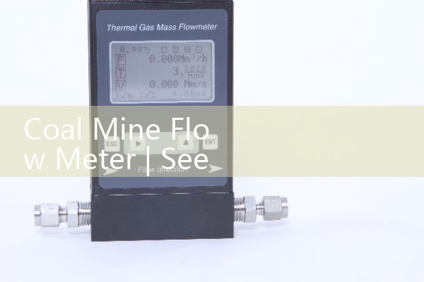 Quality flowmeter diameter
