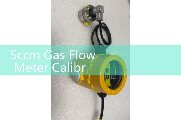 Sccm Gas Flow Meter Calibration For Laboratory Use