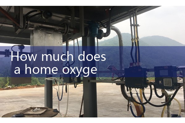 Oxygen flowmeter price