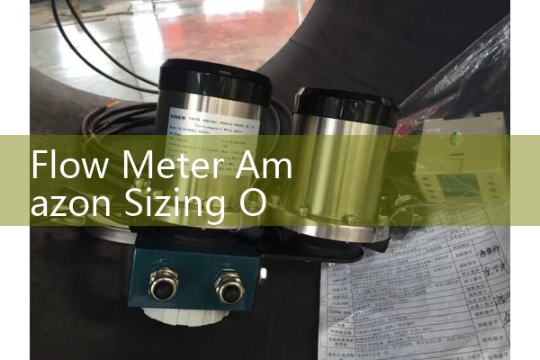 Flow Meter Amazon Sizing Options: Evaluating Consumer vs Professional Industrial Gauges