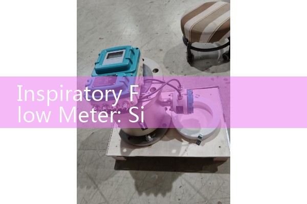Inspiratory Flow Meter: Sizing Diagnostic Training Devices for Clinical Inhaler Velocity Screenings
