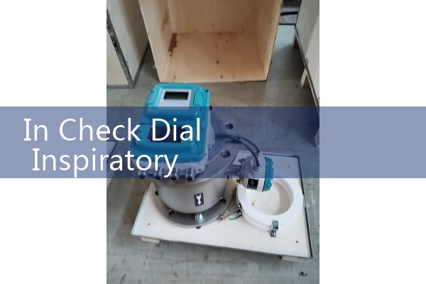 In Check Dial Inspiratory Flow Meter: Testing Patient Inhaler Velocity Capacities for Targeted Clinical Care