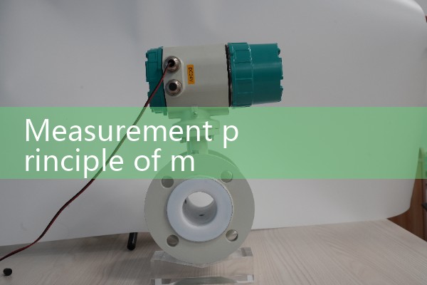 Measurement principle of mass flowmeter