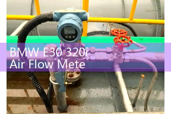 BMW E30 320i Air Flow Meter: Sourcing Classic Car Engine Fuel Delivery Manuals