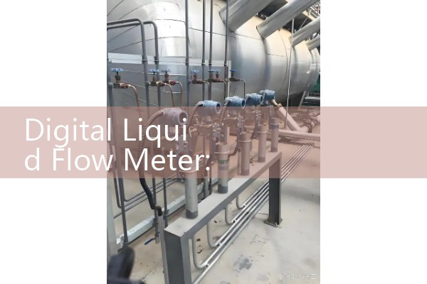 Portable Doppler flowmeter