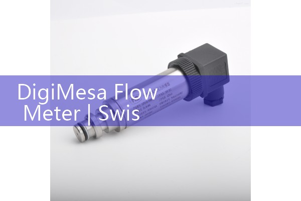 digmesa flow meter|heat flow meter